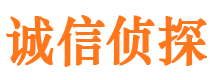 沛县市婚外情调查